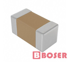 C0402C309B5GAC7867